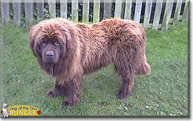 Name:  01 (1).jpg
Views: 228
Size:  100.3 KB