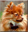 Name:  large (1).jpg
Views: 155
Size:  7.1 KB