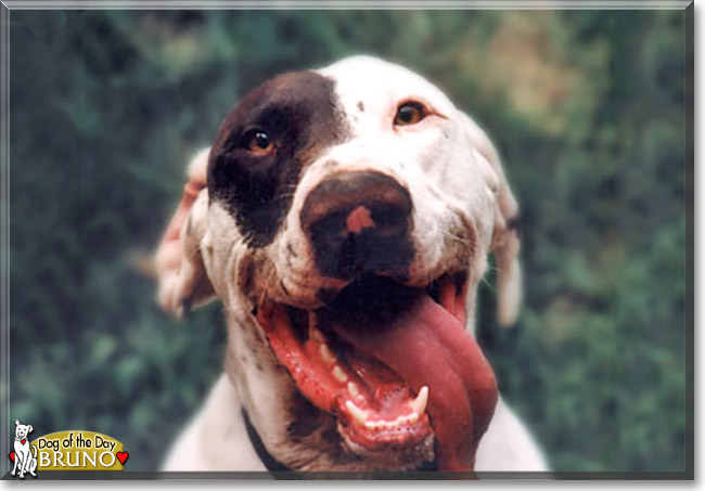 Name:  03 (1).jpg
Views: 146
Size:  61.5 KB