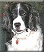 Name:  large (1).jpg
Views: 159
Size:  6.7 KB