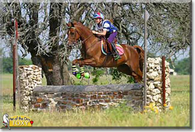 Name:  08.jpg
Views: 165
Size:  108.4 KB