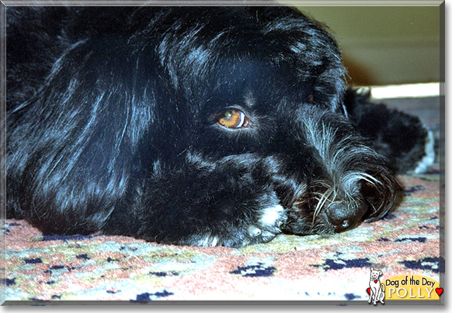 Name:  10.jpg
Views: 172
Size:  128.5 KB