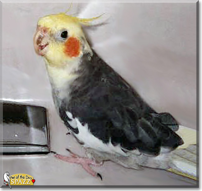 Name:  10 (1).jpg
Views: 131
Size:  66.2 KB