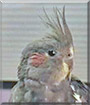 Name:  large (1).jpg
Views: 149
Size:  5.3 KB