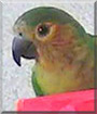 Name:  large.jpg
Views: 151
Size:  5.5 KB
