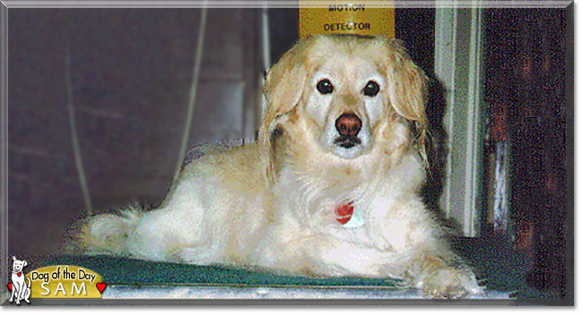Name:  24.jpg
Views: 205
Size:  104.7 KB