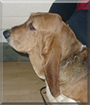 Name:  large.jpg
Views: 147
Size:  10.6 KB