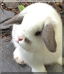 Name:  large.jpg
Views: 132
Size:  10.2 KB