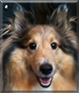 Name:  large.jpg
Views: 167
Size:  11.0 KB