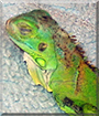 Name:  large.jpg
Views: 125
Size:  15.4 KB