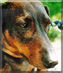 Name:  large (1).jpg
Views: 155
Size:  15.6 KB