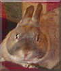 Name:  large.jpg
Views: 155
Size:  12.1 KB