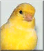 Name:  large.jpg
Views: 167
Size:  8.4 KB