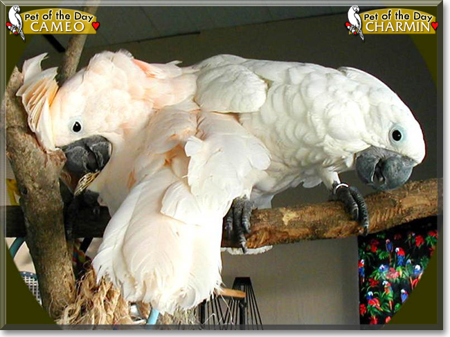 Name:  16.jpg
Views: 184
Size:  222.6 KB