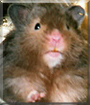 Name:  large.jpg
Views: 246
Size:  11.4 KB