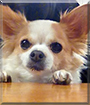 Name:  large (1).jpg
Views: 291
Size:  12.4 KB