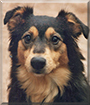 Name:  large.jpg
Views: 171
Size:  13.2 KB