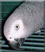 Name:  large.jpg
Views: 215
Size:  10.9 KB