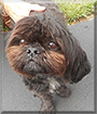 Name:  large (1).jpg
Views: 229
Size:  12.2 KB