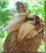 Name:  large.jpg
Views: 127
Size:  15.3 KB