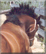 Name:  large.jpg
Views: 149
Size:  14.9 KB