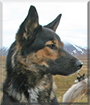 Name:  large.jpg
Views: 189
Size:  11.6 KB