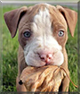 Name:  large (1).jpg
Views: 148
Size:  13.3 KB
