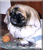 Name:  large (1).jpg
Views: 171
Size:  13.3 KB
