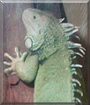 Name:  large.jpg
Views: 396
Size:  11.4 KB