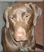 Name:  large (1).jpg
Views: 244
Size:  11.3 KB
