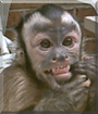 Name:  large.jpg
Views: 169
Size:  13.2 KB