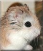 Name:  large.jpg
Views: 152
Size:  10.1 KB