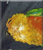 Name:  large.jpg
Views: 145
Size:  12.9 KB