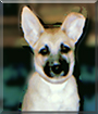 Name:  large.jpg
Views: 134
Size:  11.6 KB