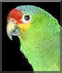 Name:  large (1).jpg
Views: 123
Size:  10.2 KB