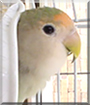 Name:  large.jpg
Views: 158
Size:  10.1 KB