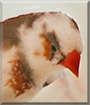 Name:  large.jpg
Views: 115
Size:  10.1 KB