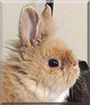 Name:  large (1).jpg
Views: 195
Size:  10.3 KB