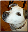 Name:  large (1).jpg
Views: 252
Size:  13.0 KB