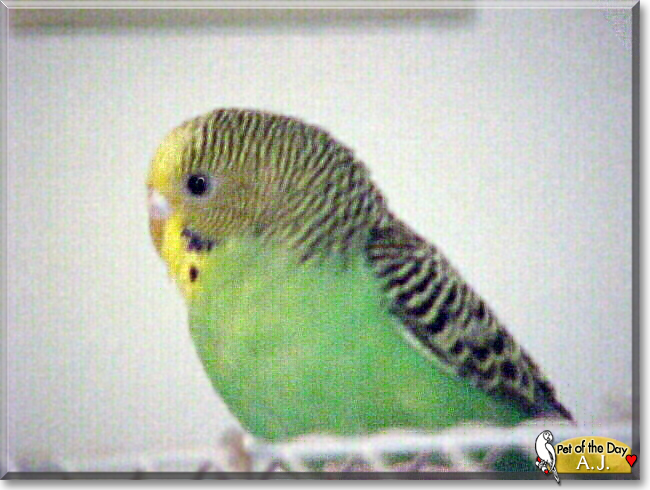 Name:  29.jpg
Views: 343
Size:  226.8 KB