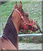 Name:  large.jpg
Views: 206
Size:  12.6 KB