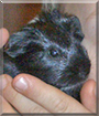 Name:  gp.jpg
Views: 269
Size:  14.1 KB