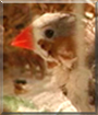 Name:  large.jpg
Views: 657
Size:  10.3 KB