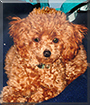 Name:  large (1).jpg
Views: 137
Size:  17.2 KB