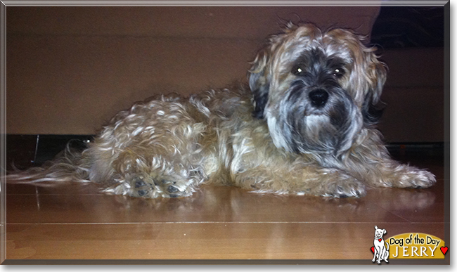 Name:  dog.jpg
Views: 69
Size:  172.1 KB