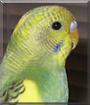 Name:  large (1).jpg
Views: 166
Size:  12.4 KB