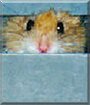 Name:  large.jpg
Views: 121
Size:  10.9 KB