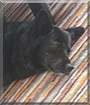 Name:  large.jpg
Views: 142
Size:  11.8 KB
