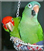 Name:  large.jpg
Views: 67
Size:  13.9 KB