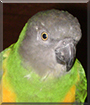 Name:  large.jpg
Views: 222
Size:  12.4 KB
